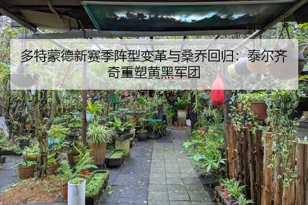 多特蒙德新赛季阵型变革与桑乔回归：泰尔齐奇重塑黄黑军团