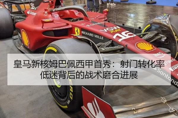 huang-ma-xin-he-mu-ba-pei-xi-jia-shou-xiu-she-men-zhuan-hua-lv-di-mi-bei-hou-de-zhan-shu-mo-he-jin-zhan-3-785.jpg
